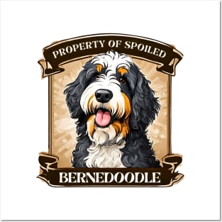 Property of Spoiled Bernedoodle Posters and Art